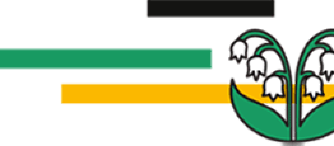 gemeinderatssitzung