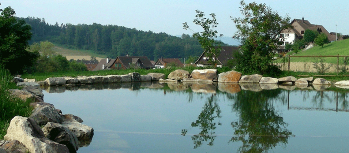 weiher